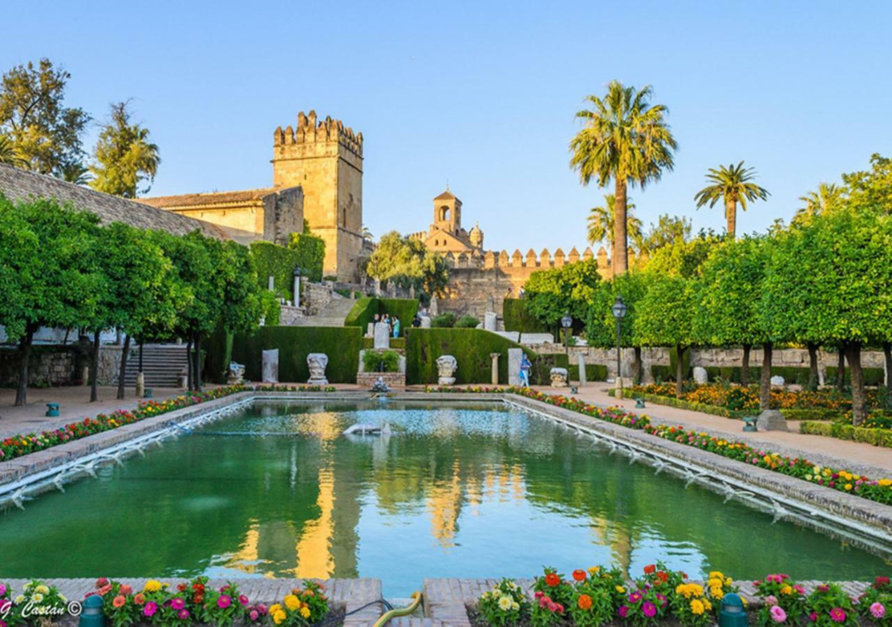 *New* Cerca De La Mezquita Διαμέρισμα Κόρδοβα Εξωτερικό φωτογραφία